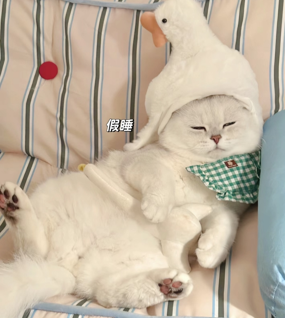 性格好