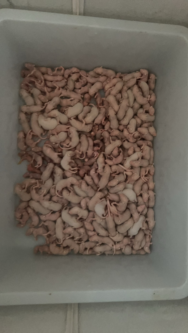 价格是假的，便宜是真的。给钱就