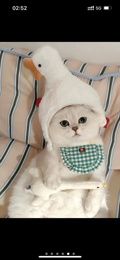 性格好