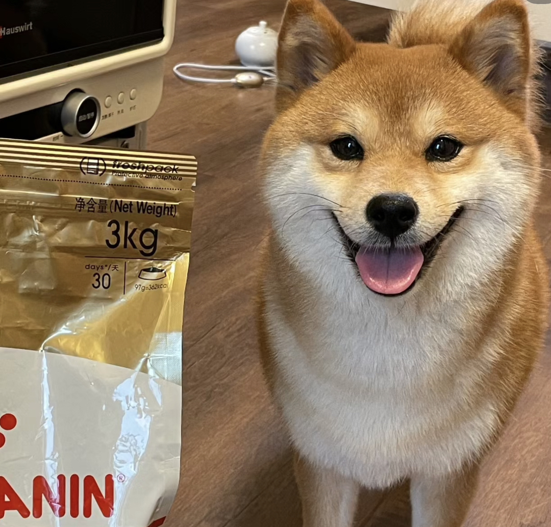 ❤平台推荐商家❤双血统纯种日本柴犬