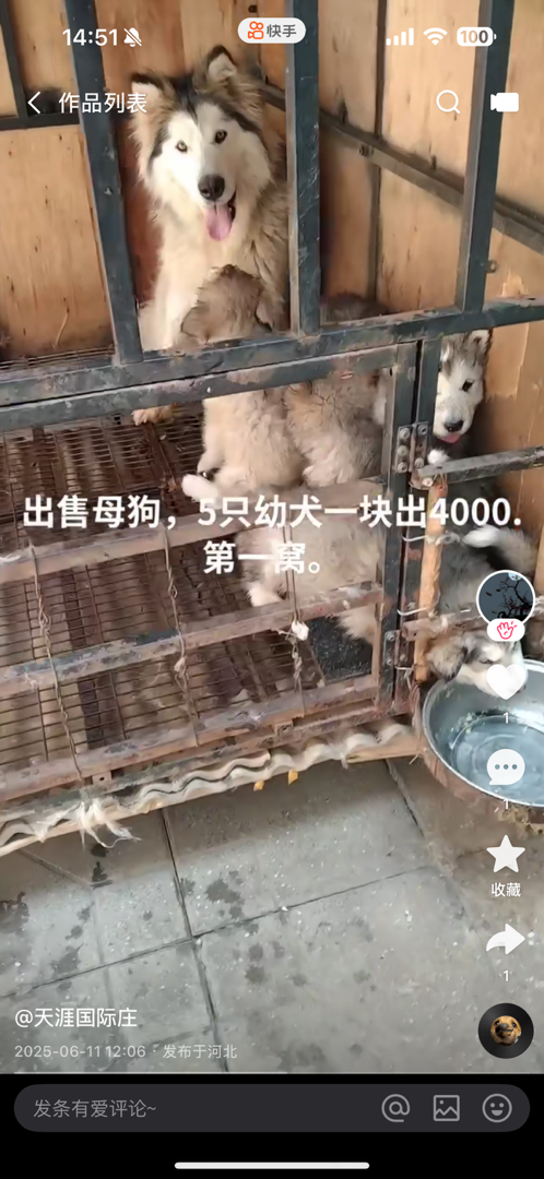 阿拉斯加