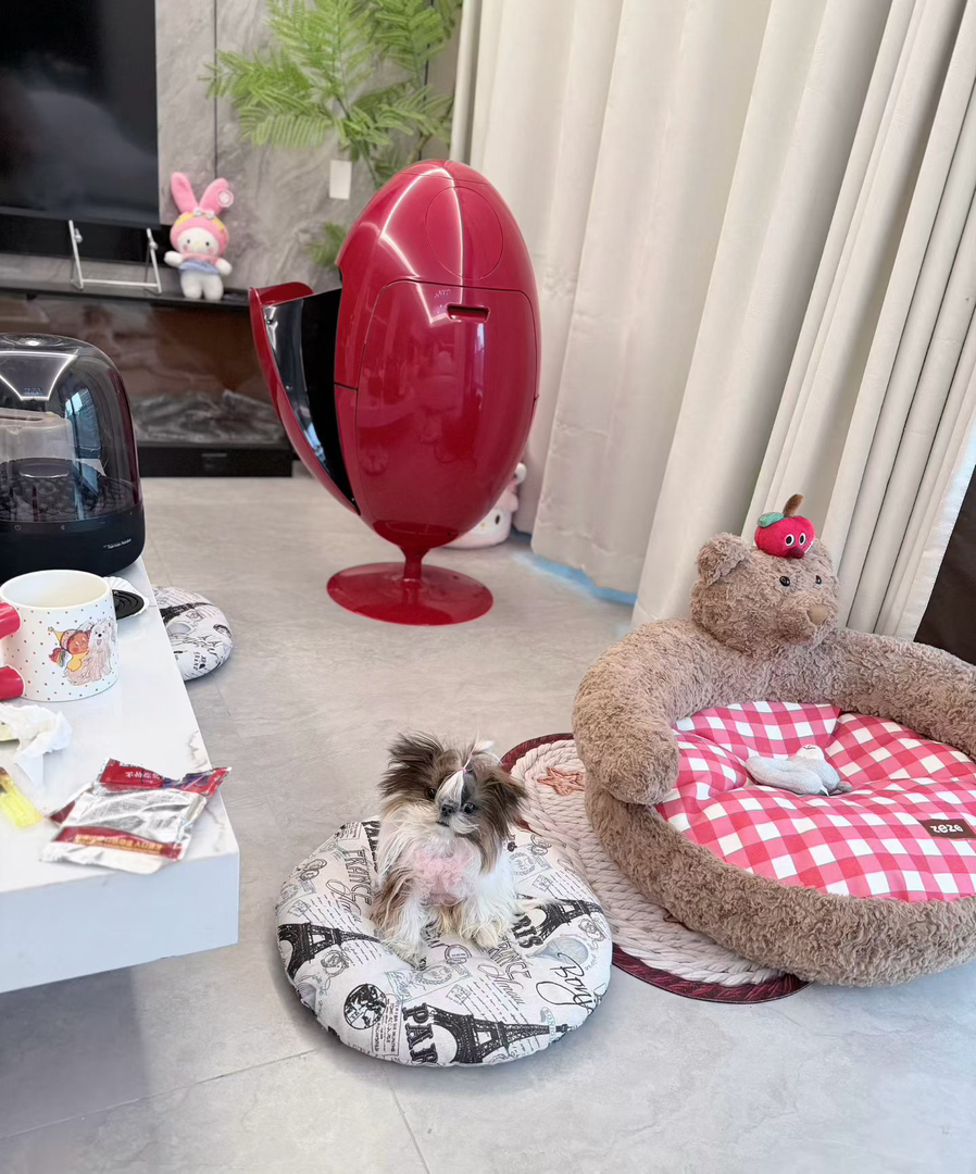 西施妹妹找新家 成都本地可上门看