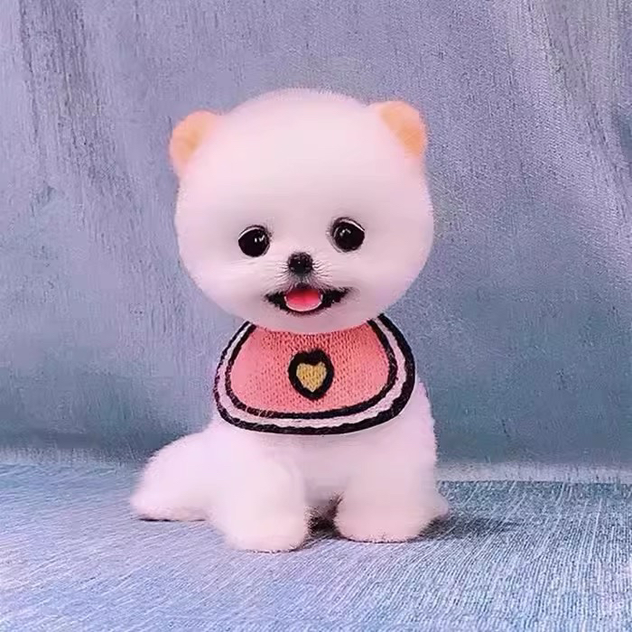 可爱博美犬，吐舌卖萌，毛球般外形惹人爱