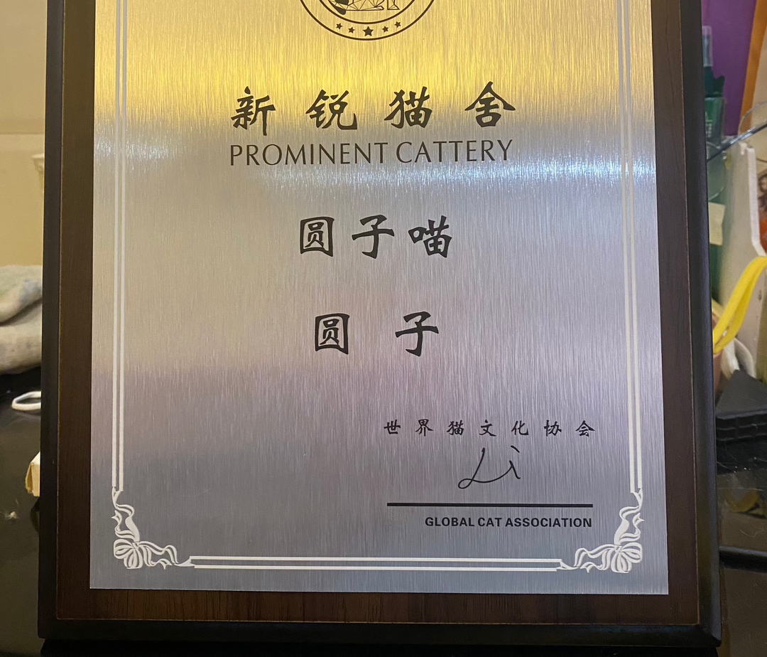 金点烤面包小弟弟·萌力出仓