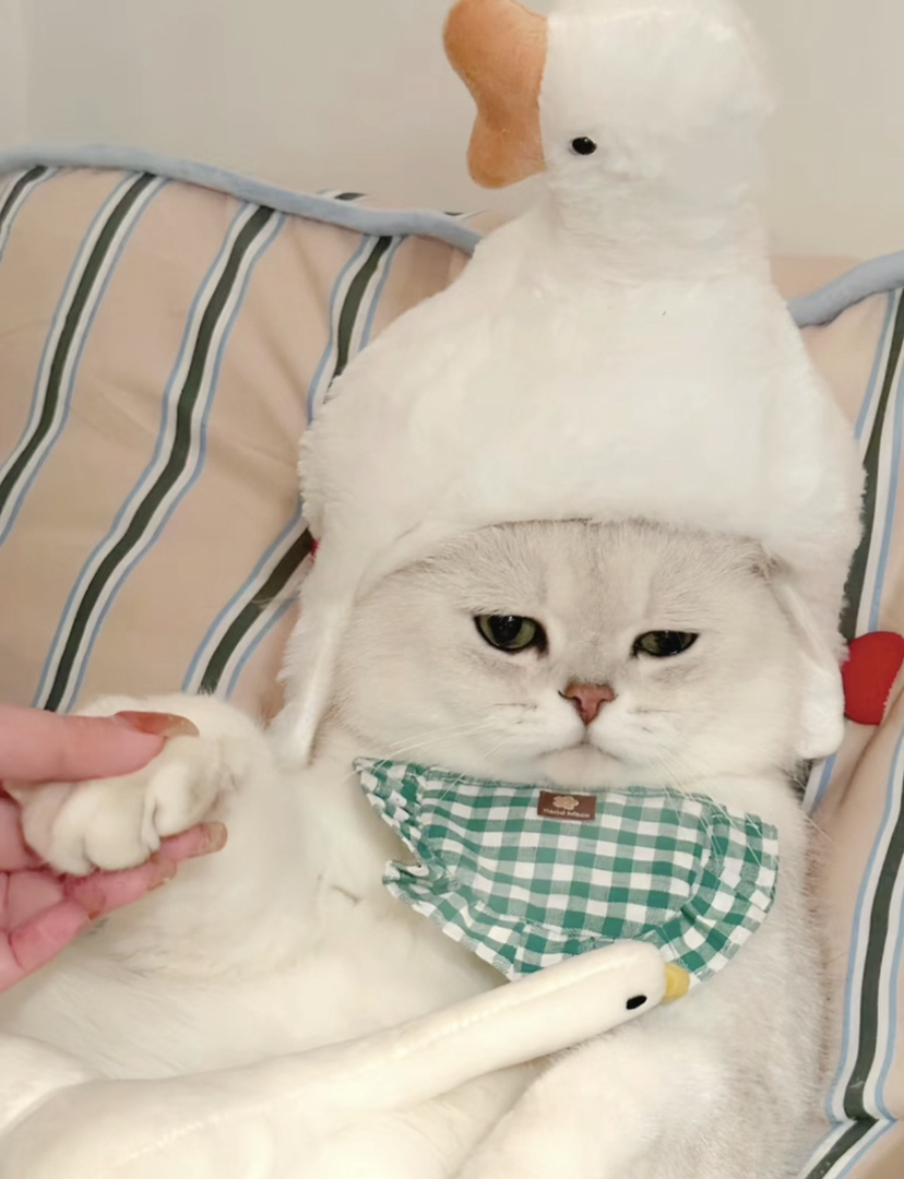 性格好