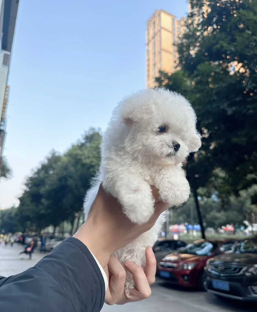 ​​外貌甜美​​：嘴型短小，面部圆润，整体颜值较高