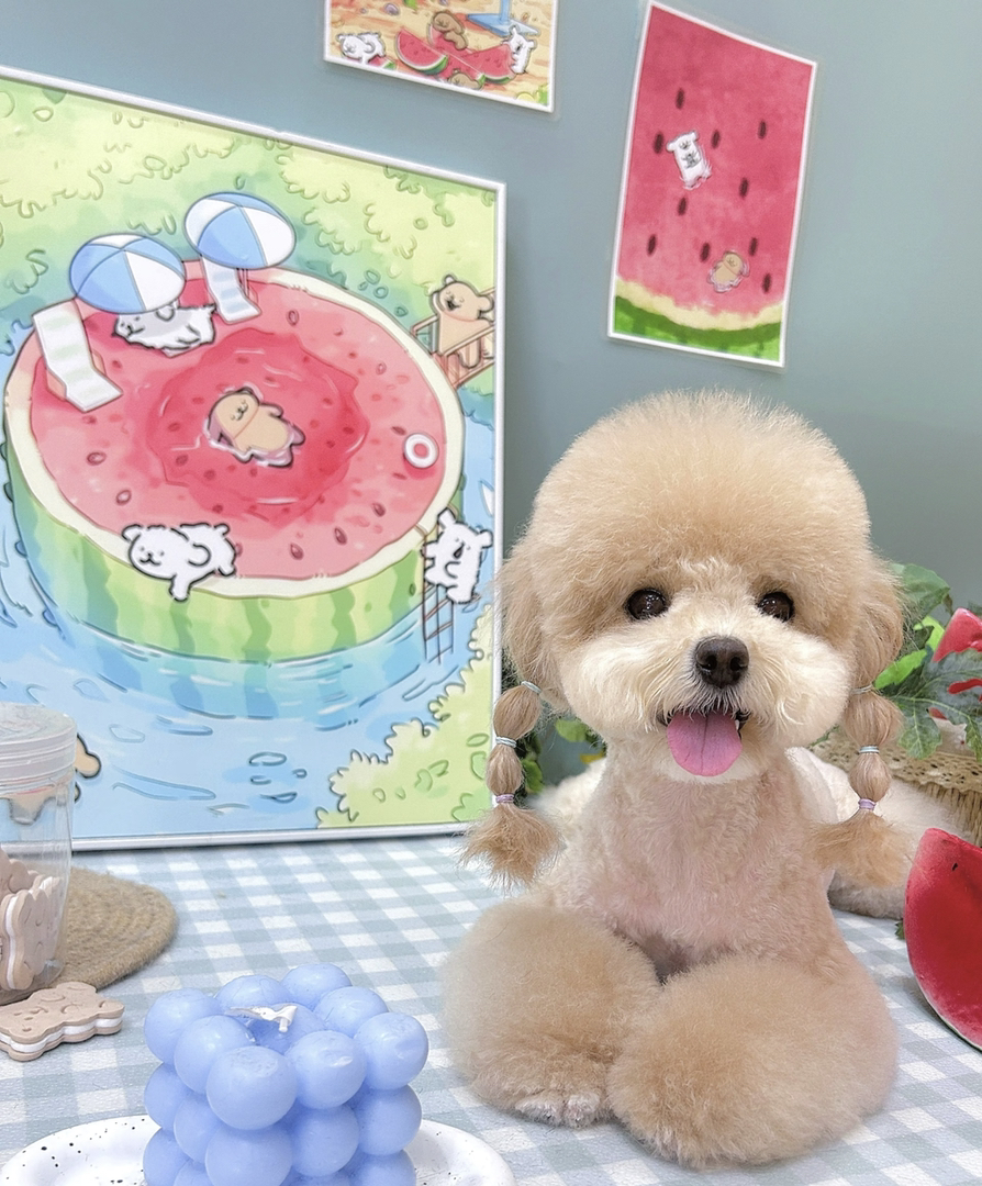 香槟色泰迪熊