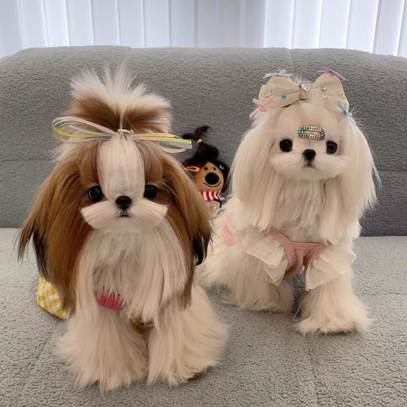高端西施犬❤平台推荐