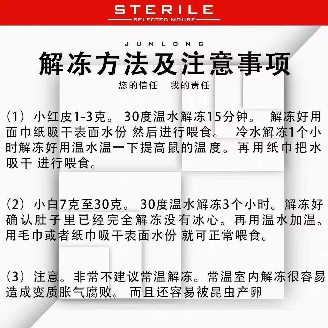 冷冻小白鼠乳鼠红皮粉皮爬宠饲料宠物蛇乌龟蜥蜴喂猫狗角蛙