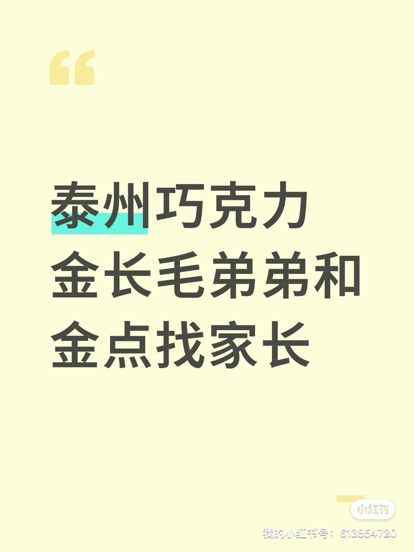 金点，和巧克力金虎斑，紫金血的宝宝
