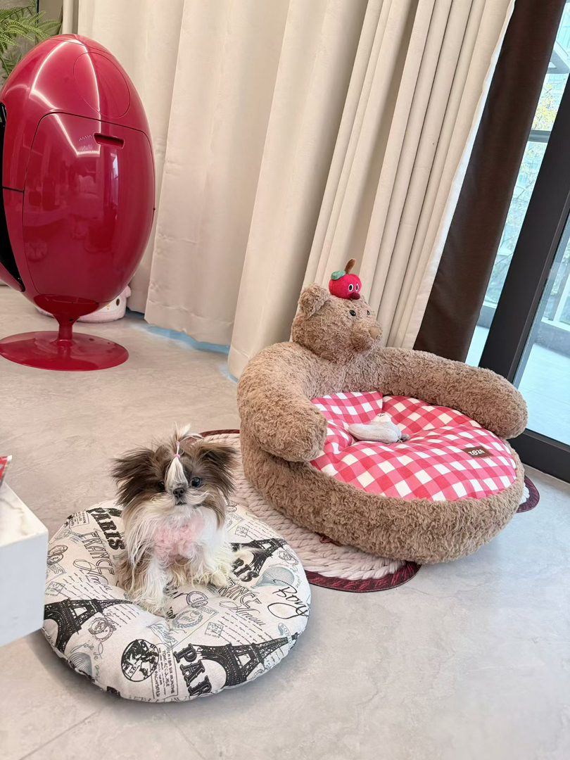 西施妹妹找新家 成都本地可上门看