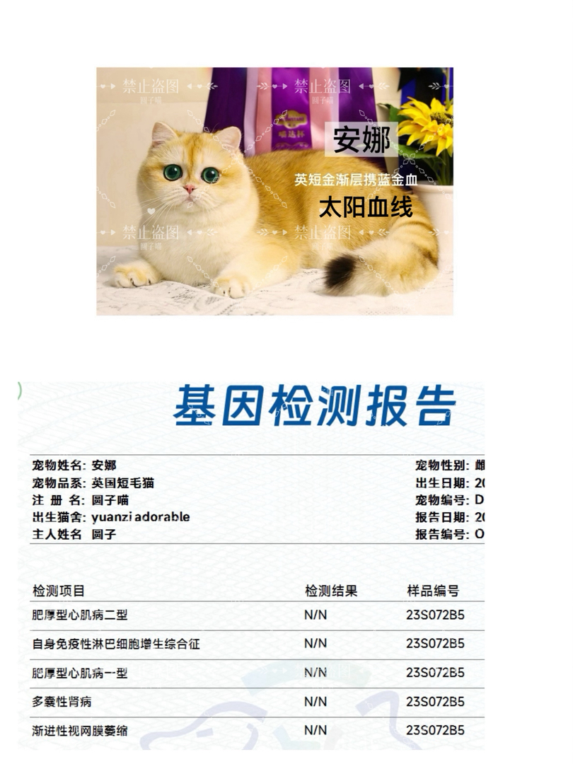 12色渐层弟弟妹妹包子脸嘴套饱满