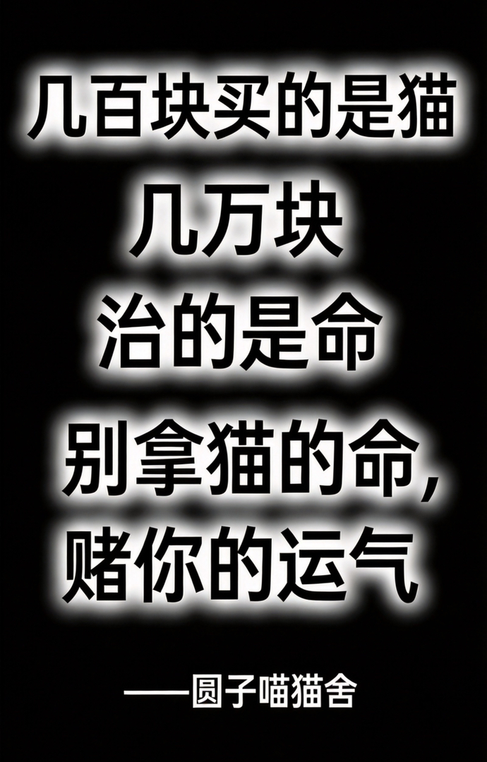 金渐层妹妹,三针疫苗已通关✌️