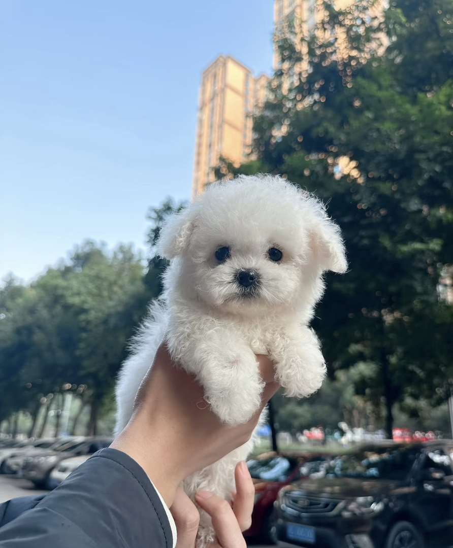 ​​外貌甜美​​：嘴型短小，面部圆润，整体颜值较高