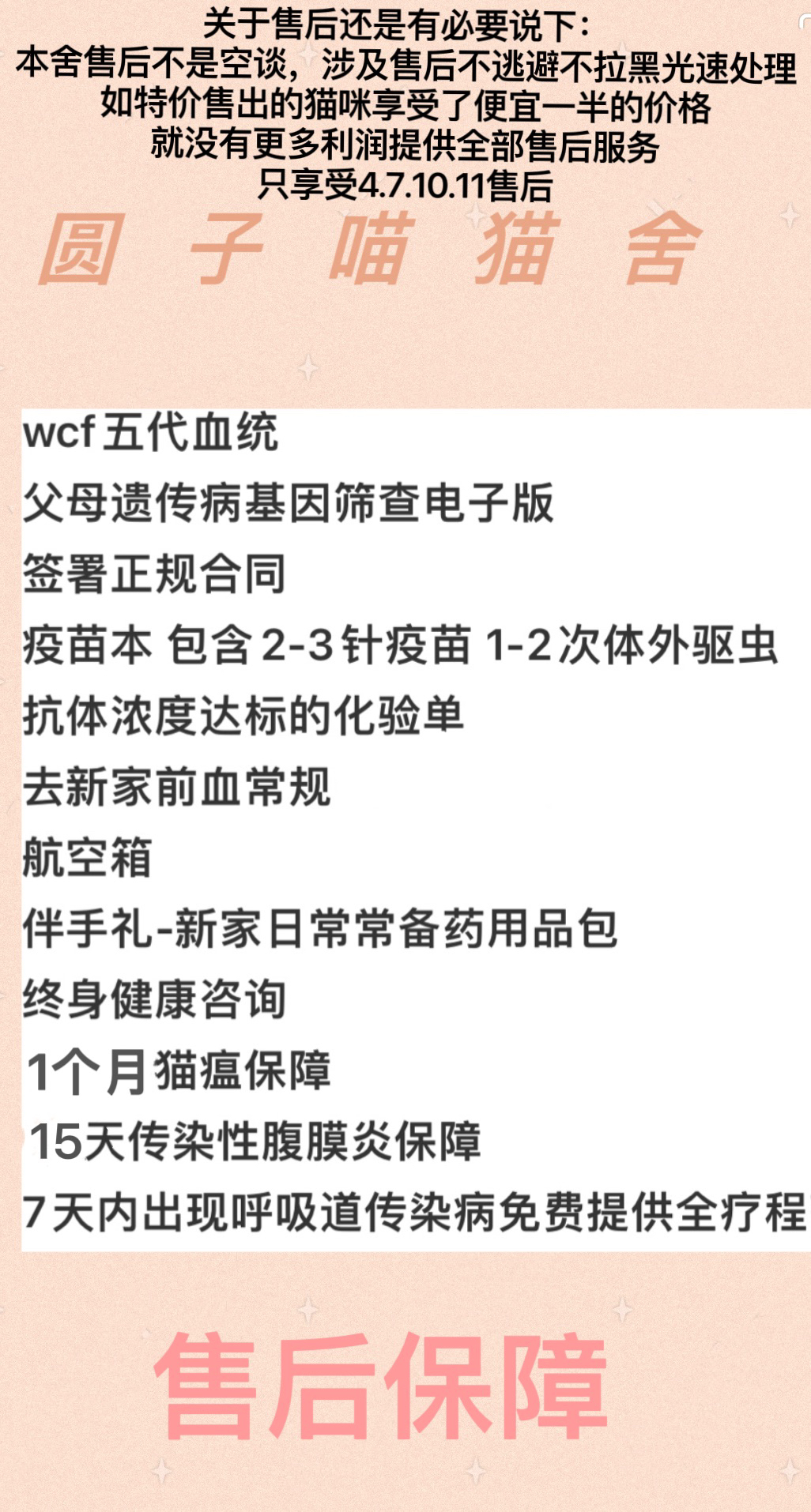 金点烤面包小弟弟·萌力出仓